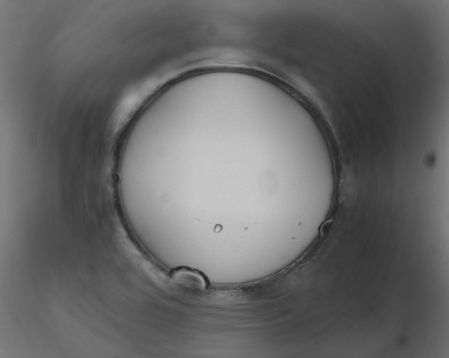 X0000116621464200912312129