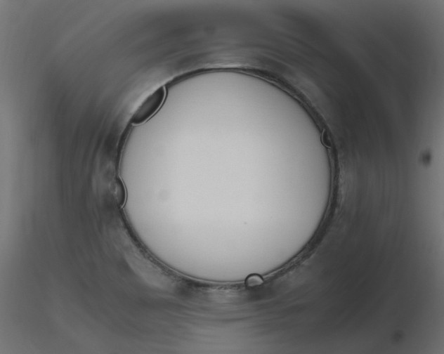 X0000116621465200912312129