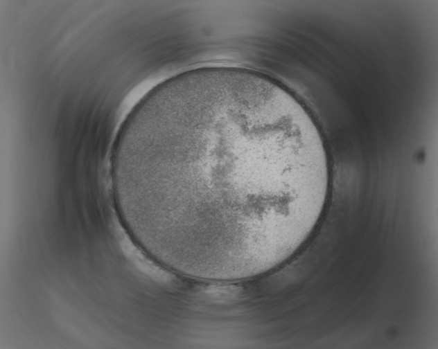 X0000116621466200912312128