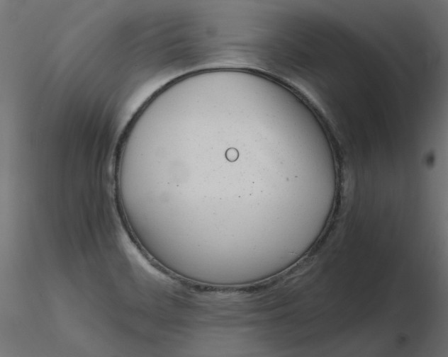 X0000116621468200912312128