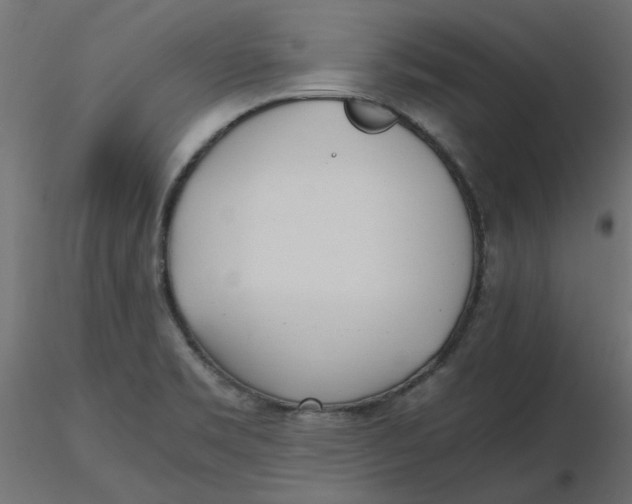 X0000116621469200912312128