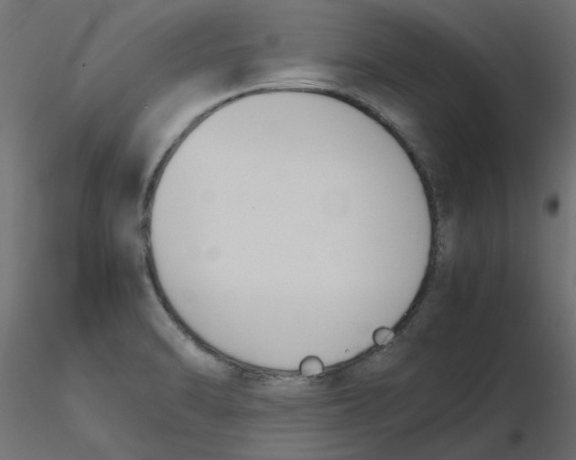 X0000116621470200912312128