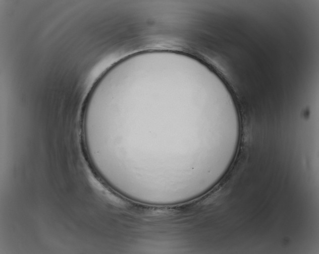 X0000116621471200912312128