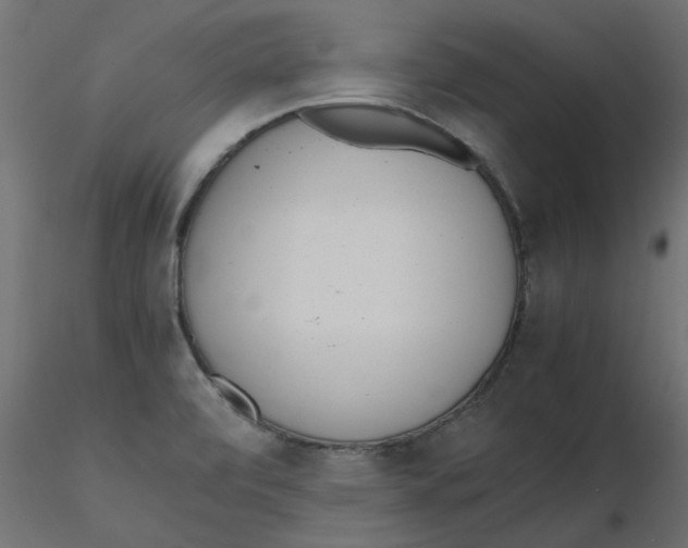 X0000116621472200912312128