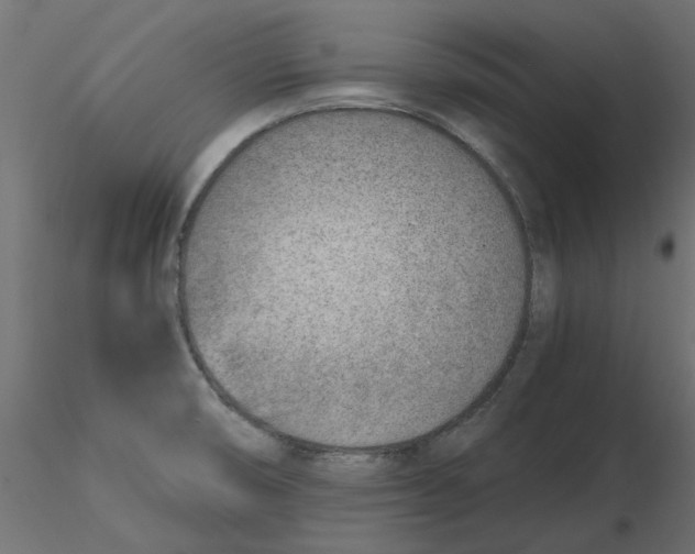 X0000116621474200912312128