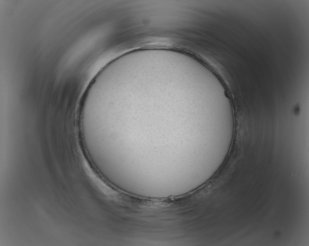 X0000116621475200912312128