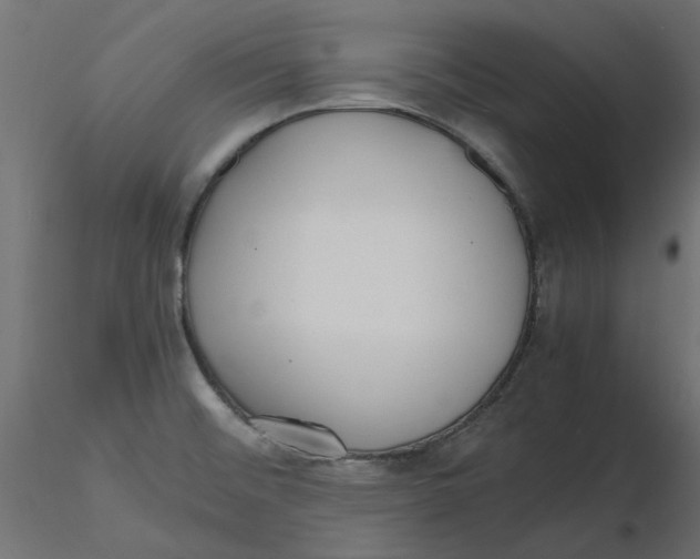 X0000116621476200912312128