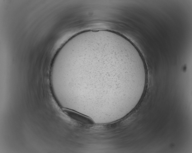 X0000116621477200912312128