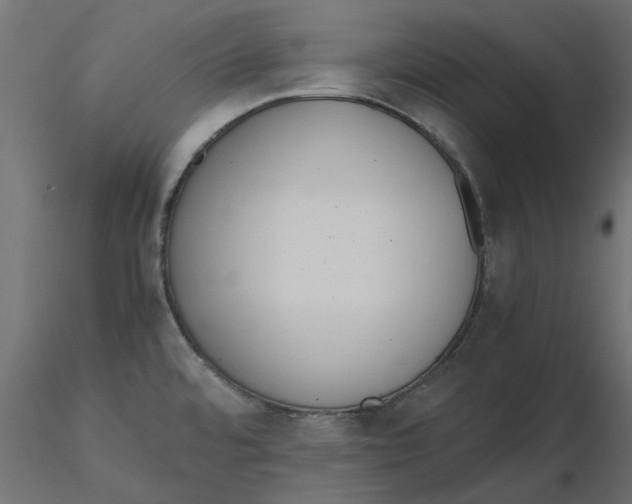 X0000116621480200912312128