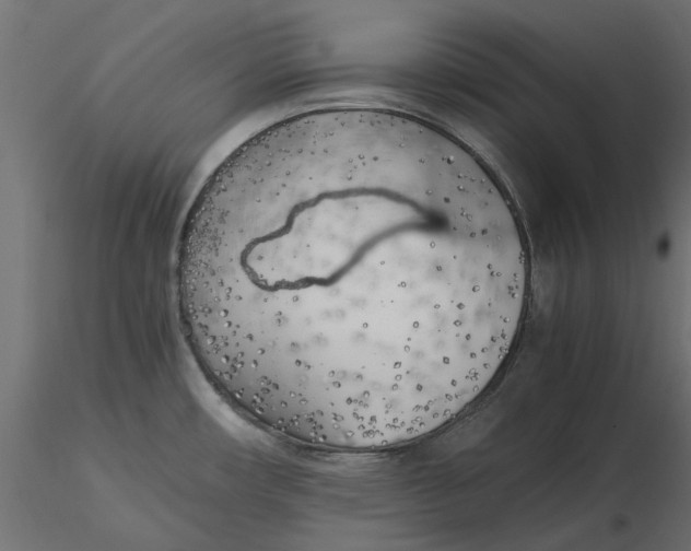 X0000116621482200912312128