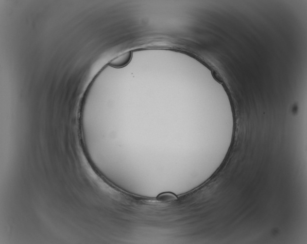 X0000116621483200912312128