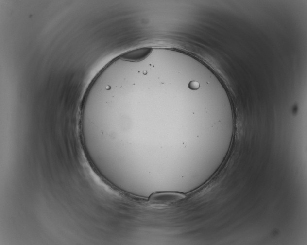 X0000116621484200912312128