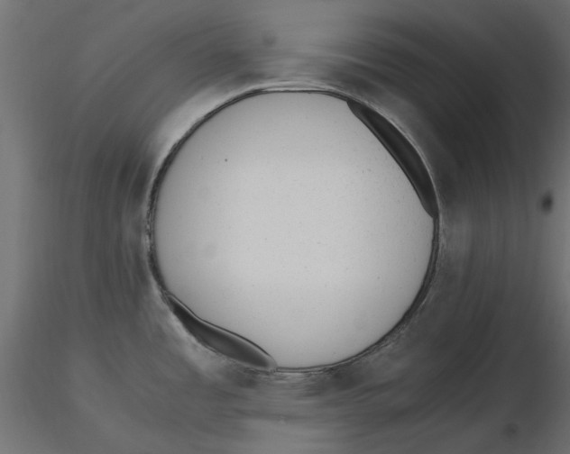 X0000116621485200912312128