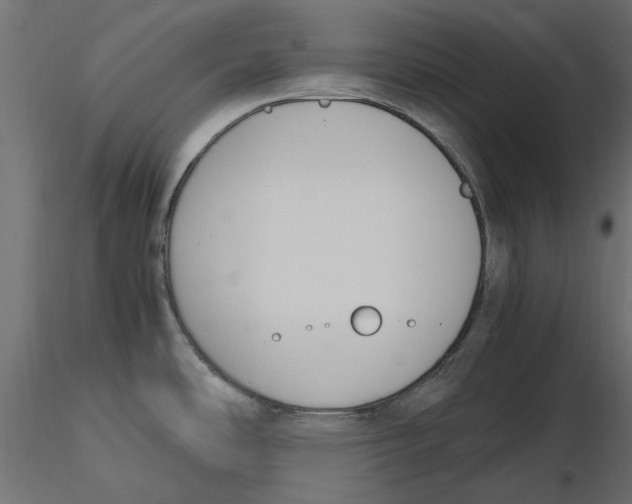 X0000116621486200912312128