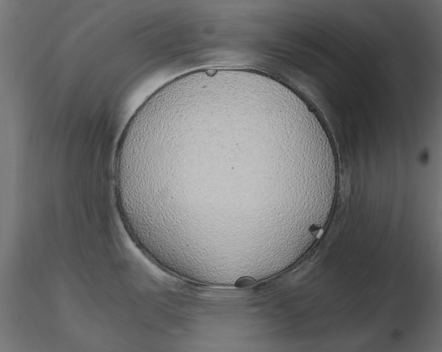 X0000116621487200912312128