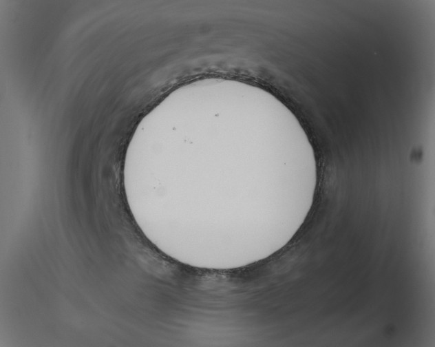 X0000116621489200912312128