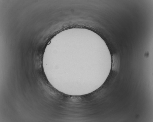 X0000116621491200912312128