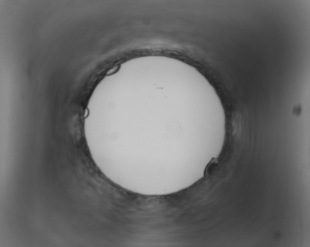 X0000116621493200912312128