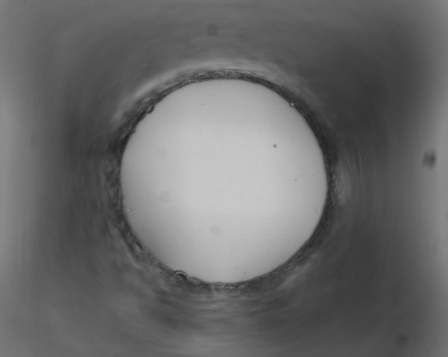 X0000116621494200912312128