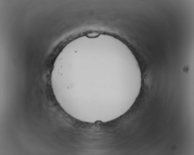 X0000116621495200912312128