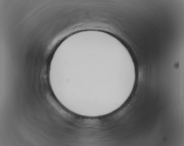 X0000116621498200912312128