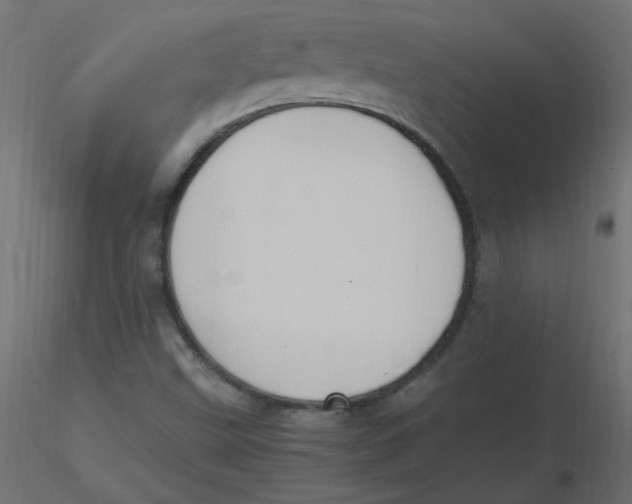 X0000116621499200912312128