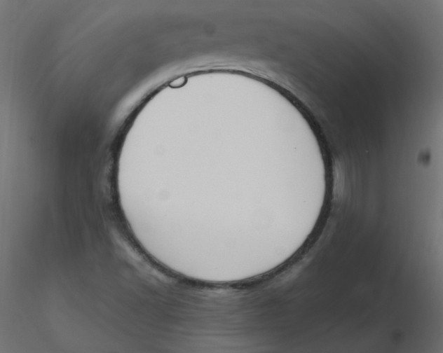 X0000116621502200912312128