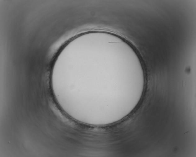 X0000116621503200912312128