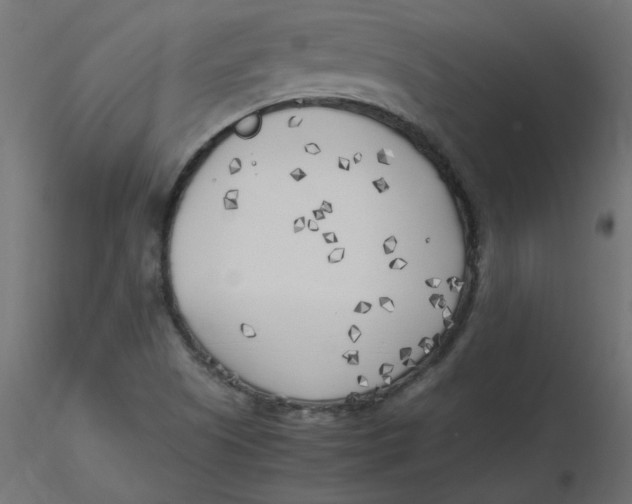 X0000116621505200912312128