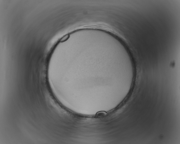 X0000116621506200912312128