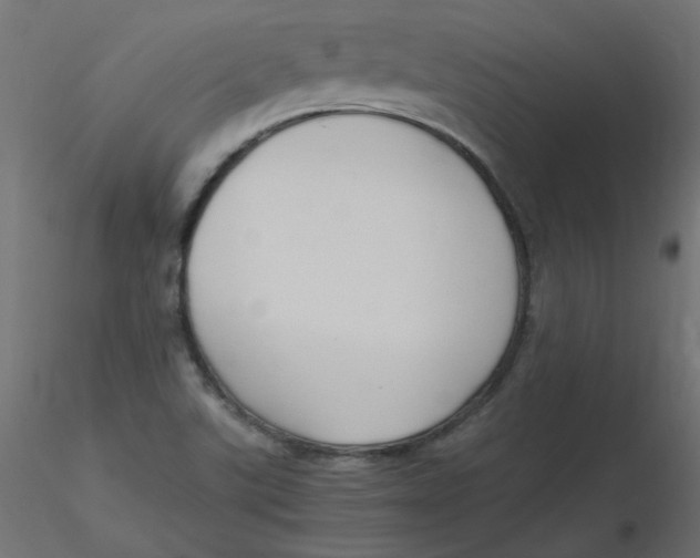 X0000116621507200912312128