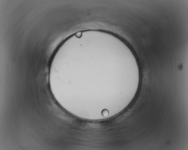 X0000116621509200912312128