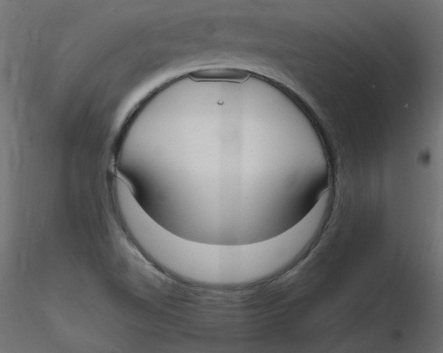 X0000116621510200912312128