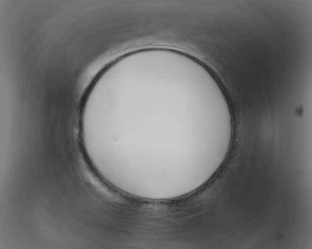 X0000116621511200912312128