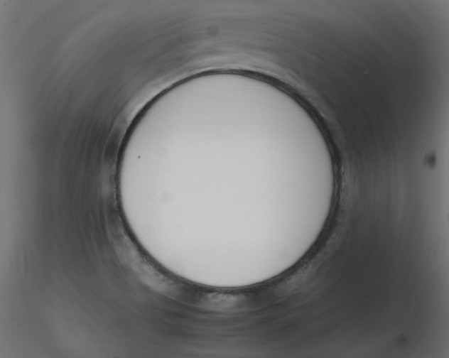 X0000116621513200912312128