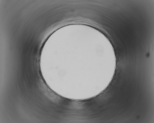 X0000116621514200912312128