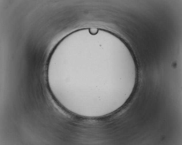 X0000116621517200912312128