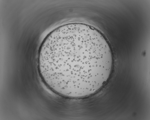 X0000116621519200912312128