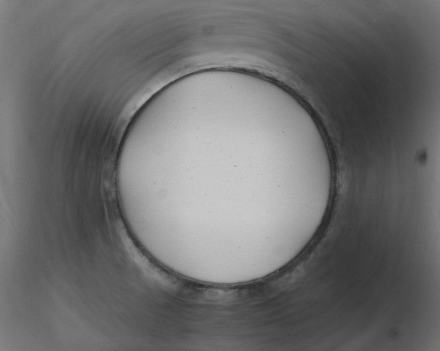 X0000116621521200912312128