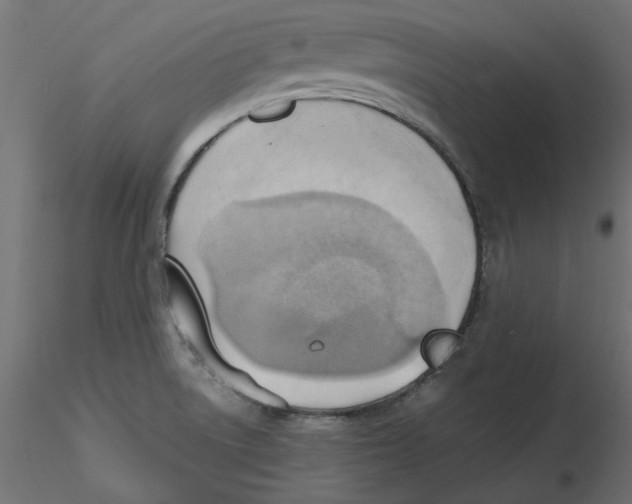 X0000116621522200912312128