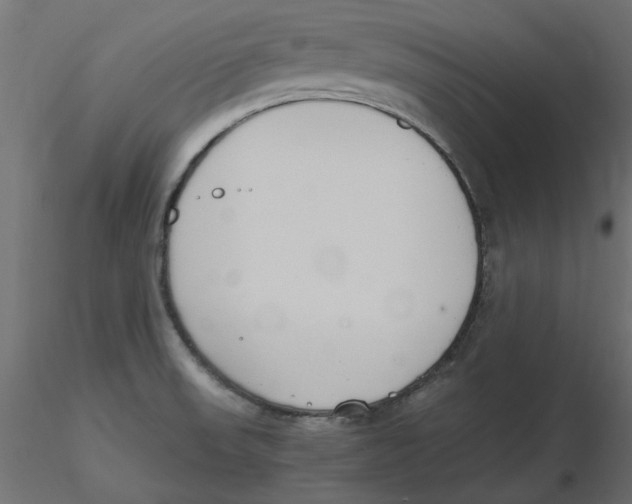 X0000116621523200912312128