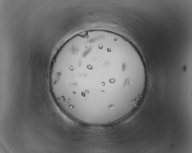 X0000116621525200912312128