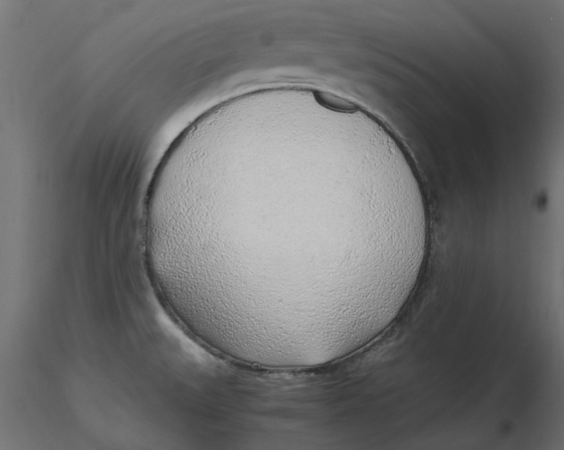 X0000116621527200912312128