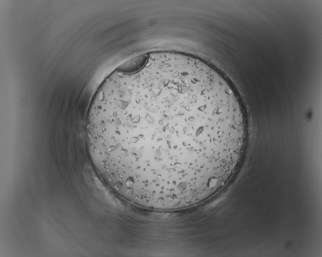 X0000116621529200912312128