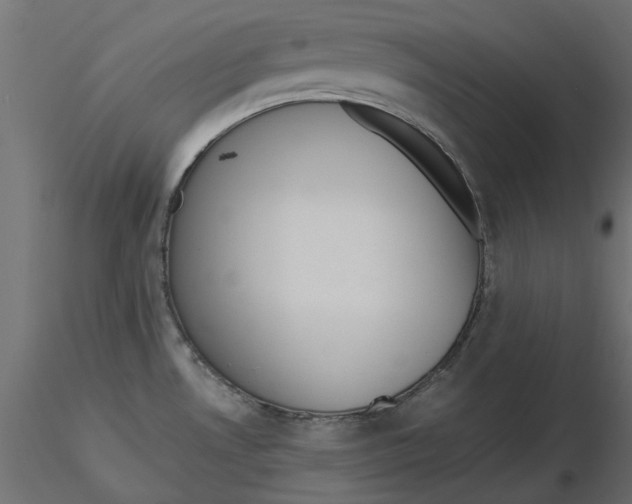 X0000116621530200912312128