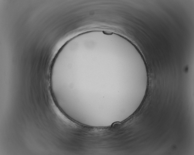 X0000116621531200912312128