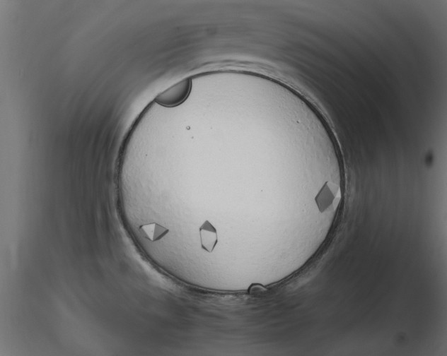 X0000116621533200912312128