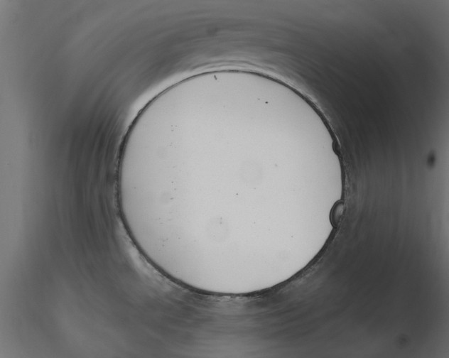 X0000116621534200912312128