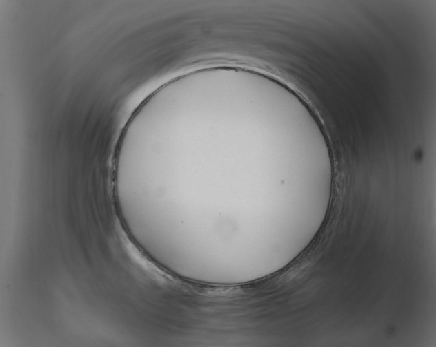 X0000116621535200912312128