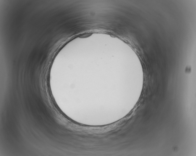 X0000116620001201001081241